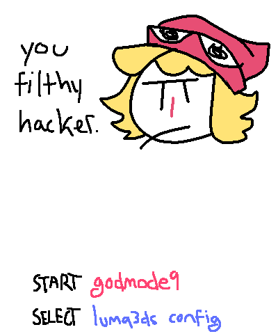you filthy hacker