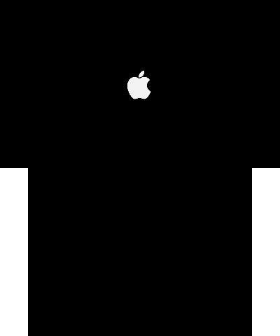 iPhone/iPad/macOS startup