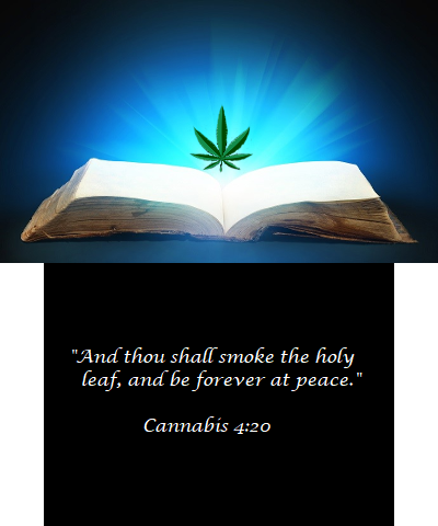 The holy leaf
