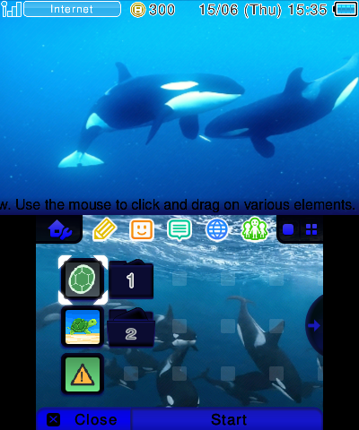 Orcas Underwater