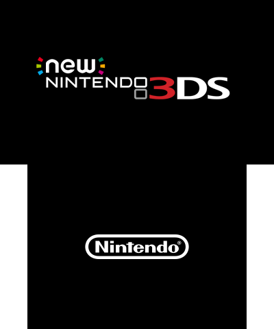 New Nintendo 3DS Standard